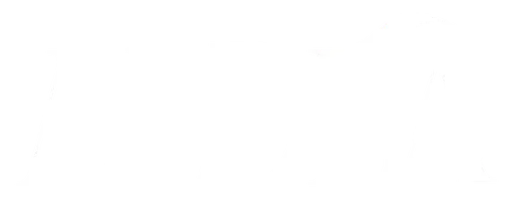 ALDEA